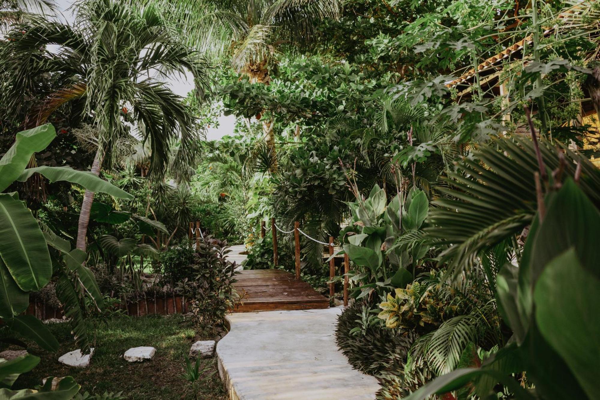 Petit Lafitte Front Hotel&bungalows 4*