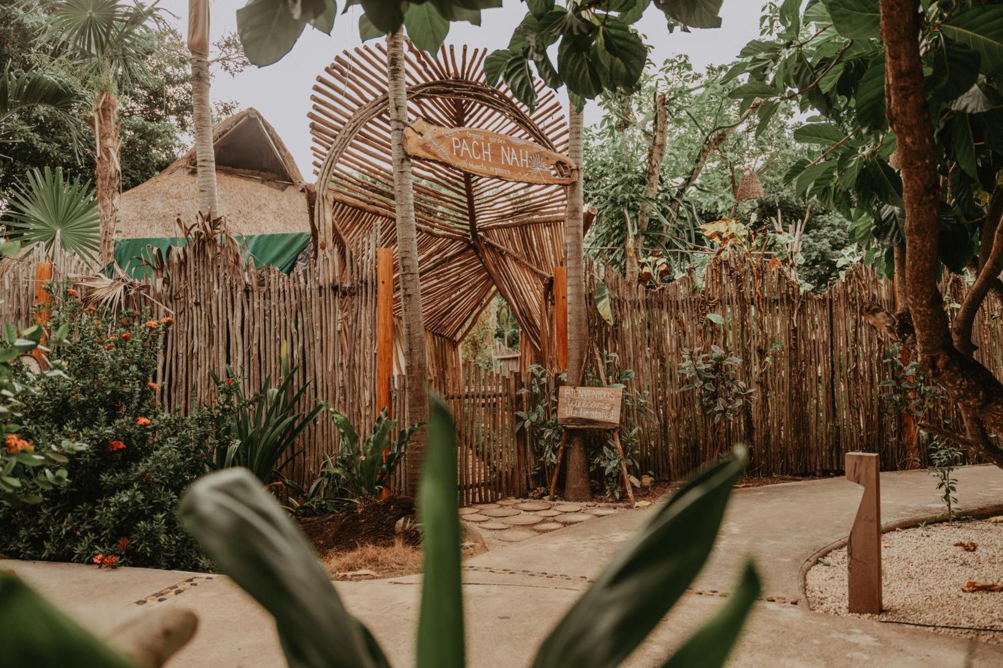 Petit Lafitte Front Hotel&bungalows Hotel